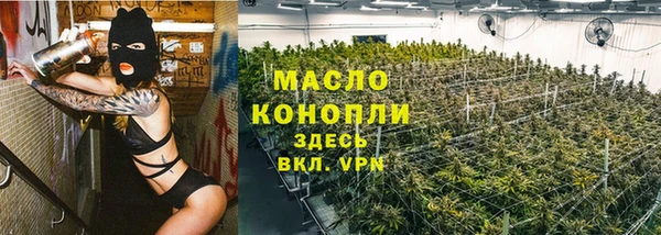 Альфа ПВП Каменка