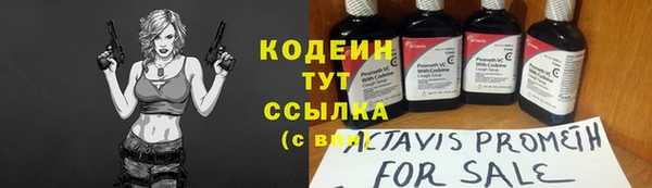 Альфа ПВП Каменка