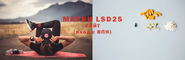 Альфа ПВП Каменка