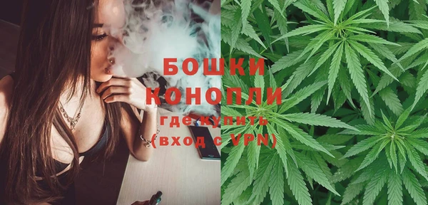 Альфа ПВП Каменка