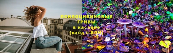 синтетический гашиш Каменногорск