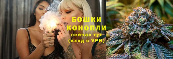 Альфа ПВП Каменка
