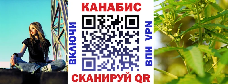 Купить где  Венёв  Канабис индика 
